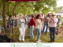 Festival Mar de Tethys 2026 - Bodega Vetas